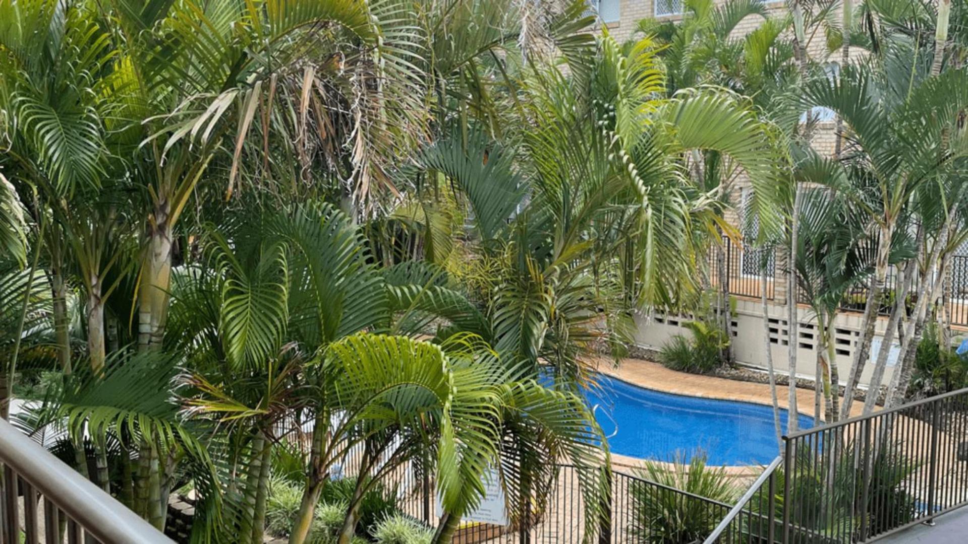 Cabarita Beachfront Apartments By Kingscliff Accommodation Exterior foto